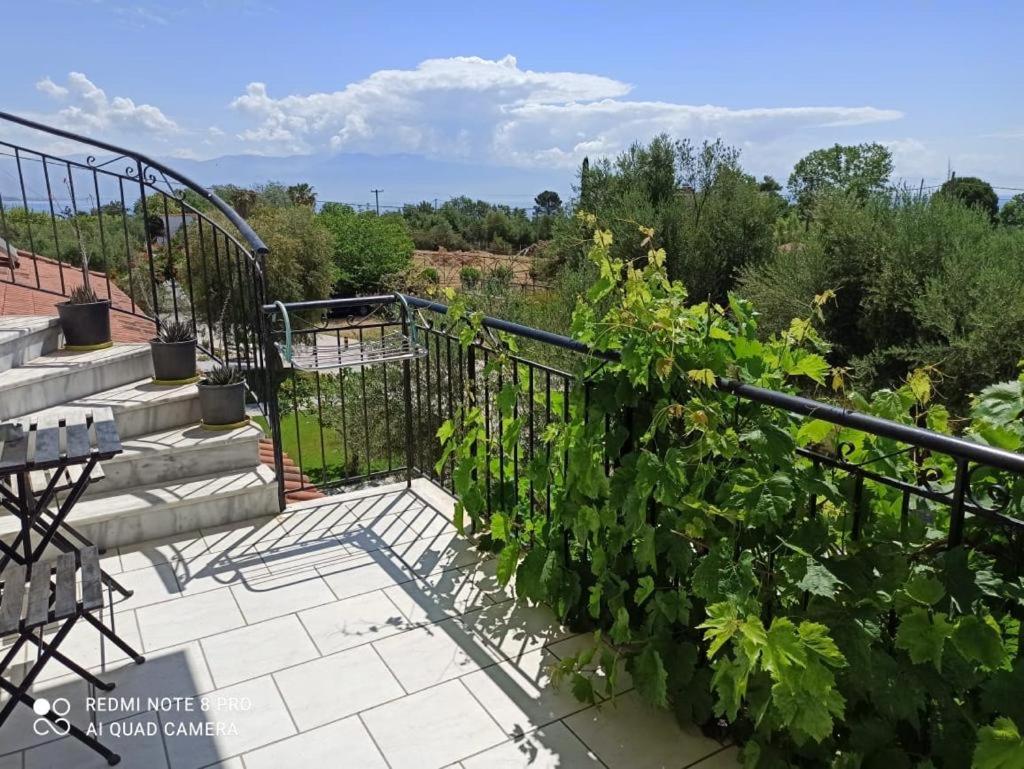 Anastasios Olive Garden Apartments Petalídhion 外观 照片