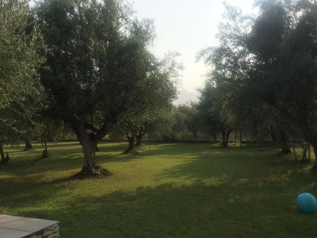 Anastasios Olive Garden Apartments Petalídhion 外观 照片