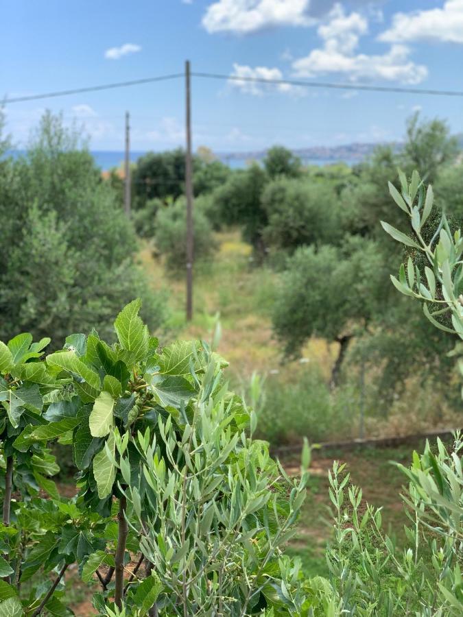 Anastasios Olive Garden Apartments Petalídhion 外观 照片